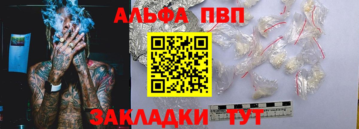 Alfa_PVP СК Тимашёвск